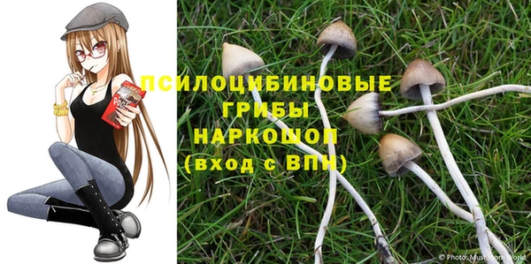 мяу мяу кристалл Алексин