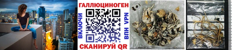 Галлюциногенные грибы Psilocybe  сколько стоит  Бокситогорск 