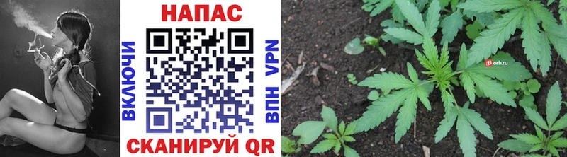 Конопля VHQ  Бокситогорск 